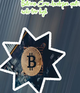 Bitcoin developers