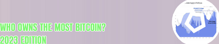 Bitcoin holders