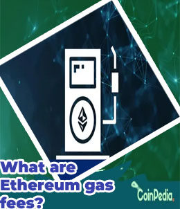 Crypto gas fees chart