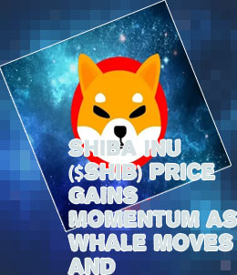 Shiba inu crypto coin