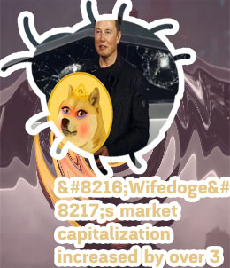 Wifedoge crypto