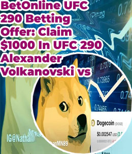 Will dogecoin hit 1000